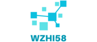 wzhi58